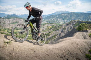 ebike_usate_morotti_giant